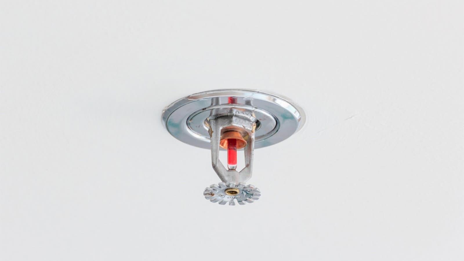 How much does a Sprinkler System Cost?